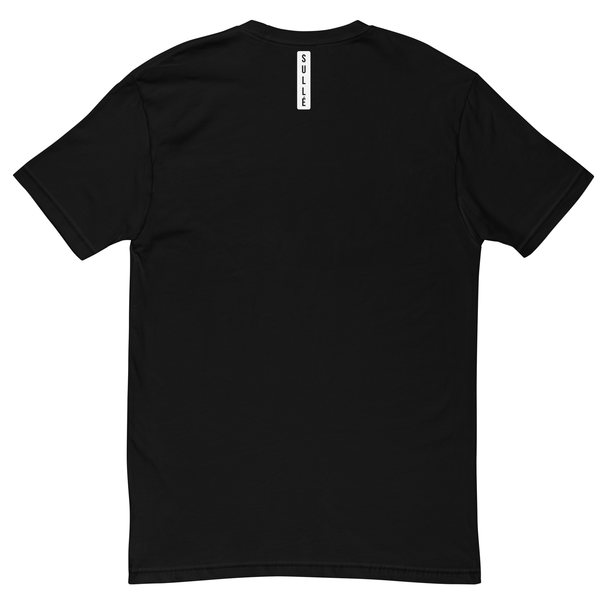 mens-fitted-t-shirt-black-back-68c52134188bb.jpg