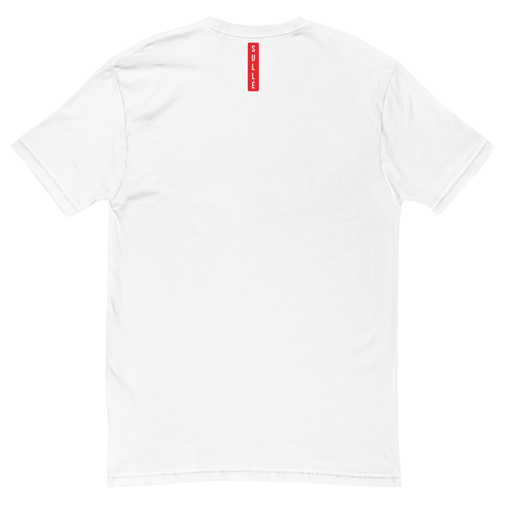 mens-fitted-t-shirt-white-back-68c522ac32aae.jpg